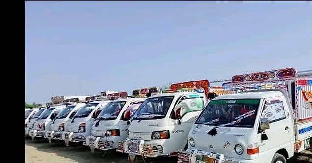 habib movers 9