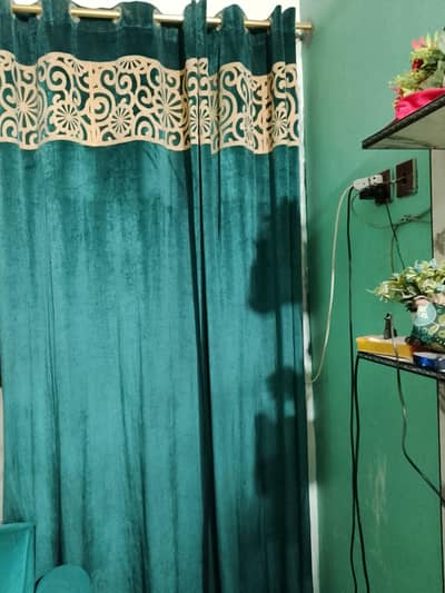 velvet green n golden curtains