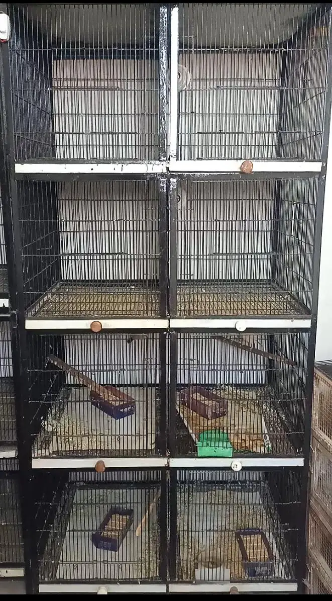 Lovebird cage pinjra — photo 2