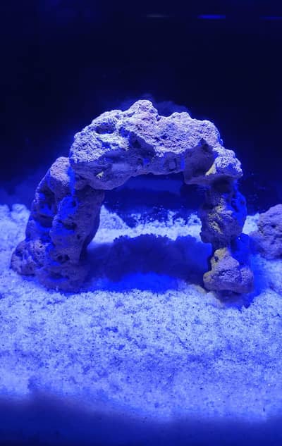 Aquarium Marine theme (New)