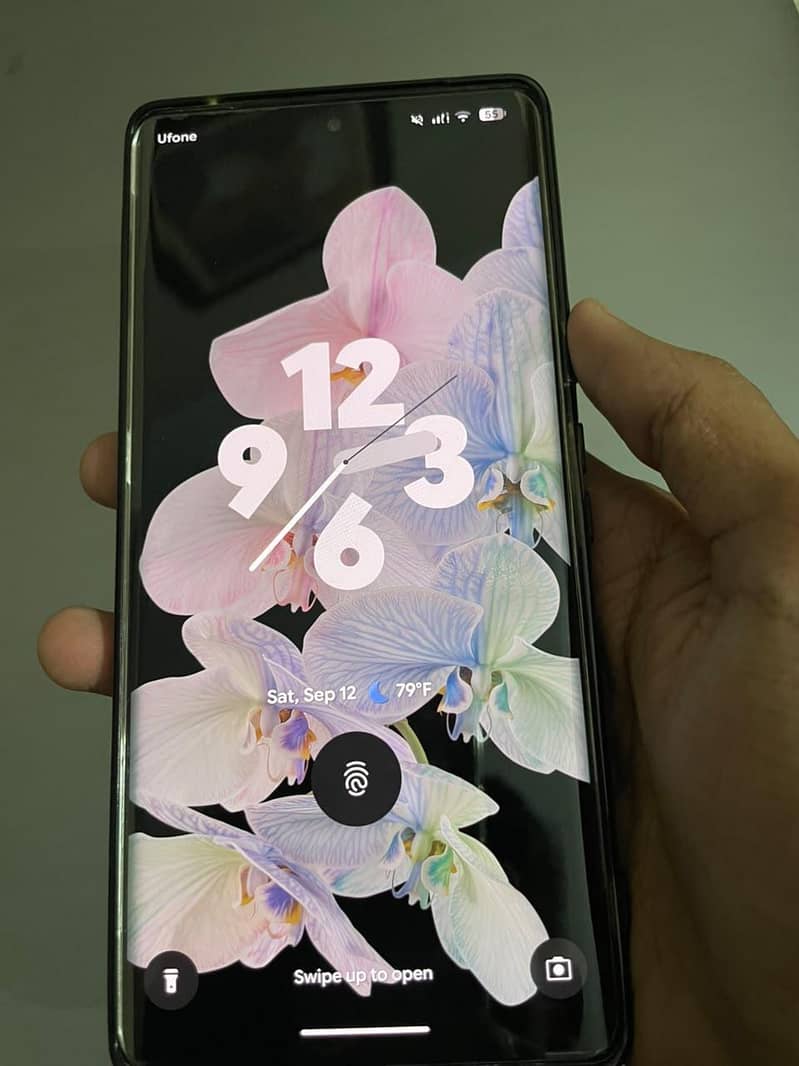 Google Pixel 6 Pro 1