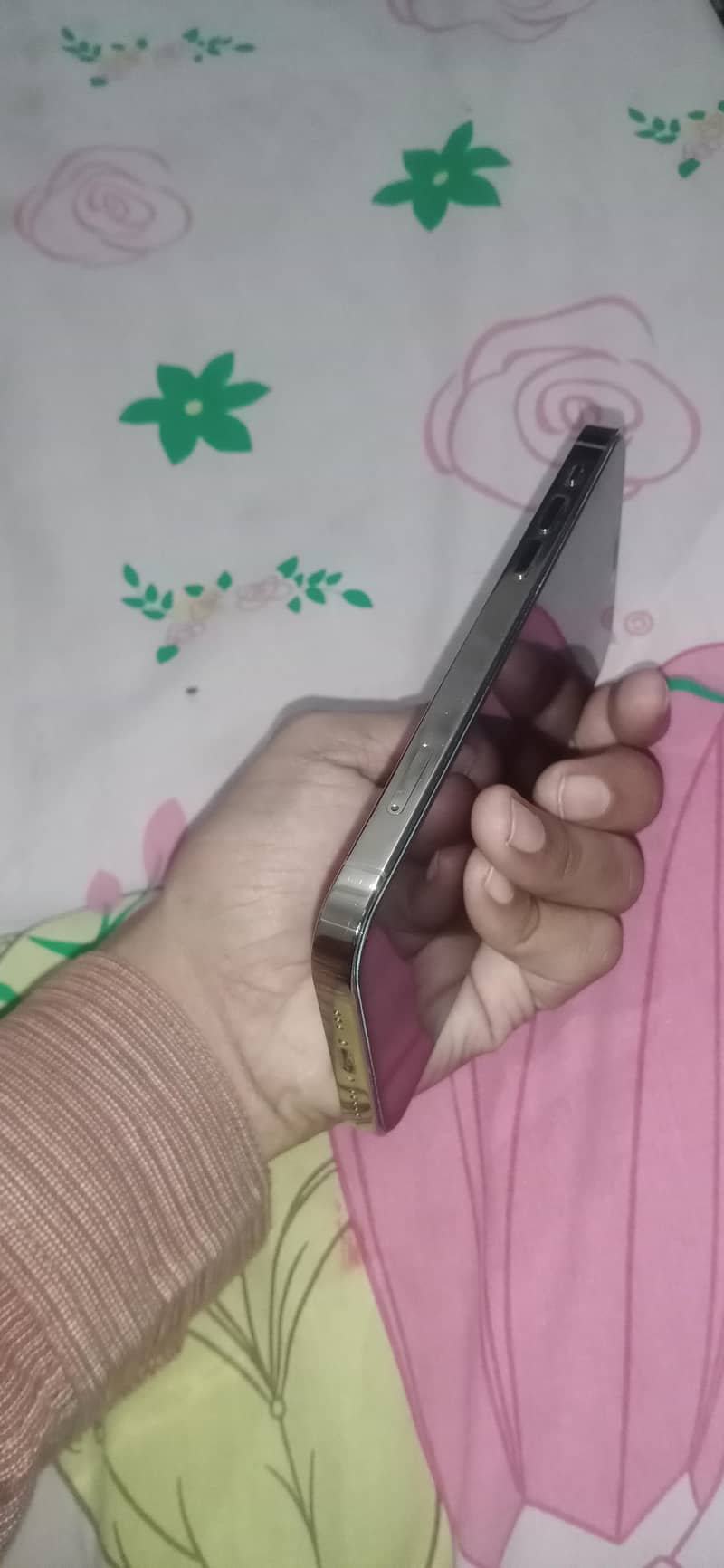Apple iPhone 12 Pro 1
