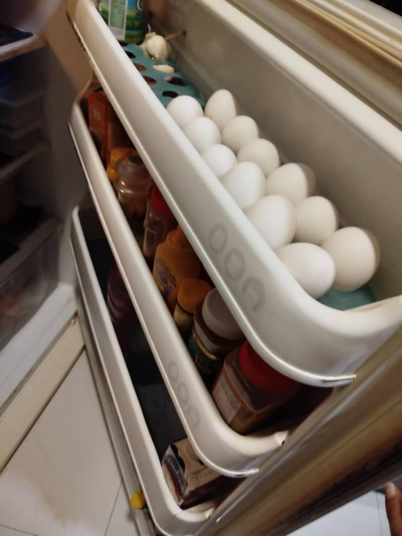 LG Imported Fridge 6