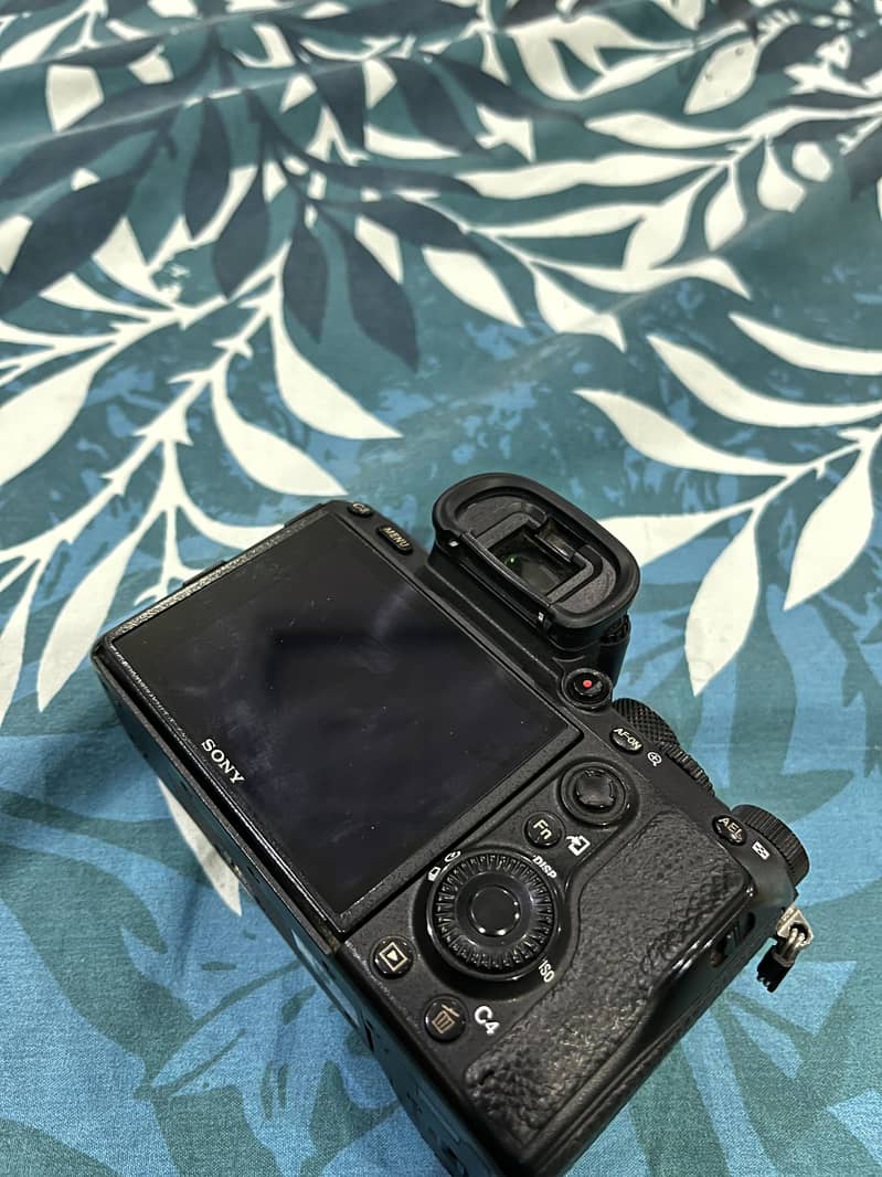 Sony A73 1