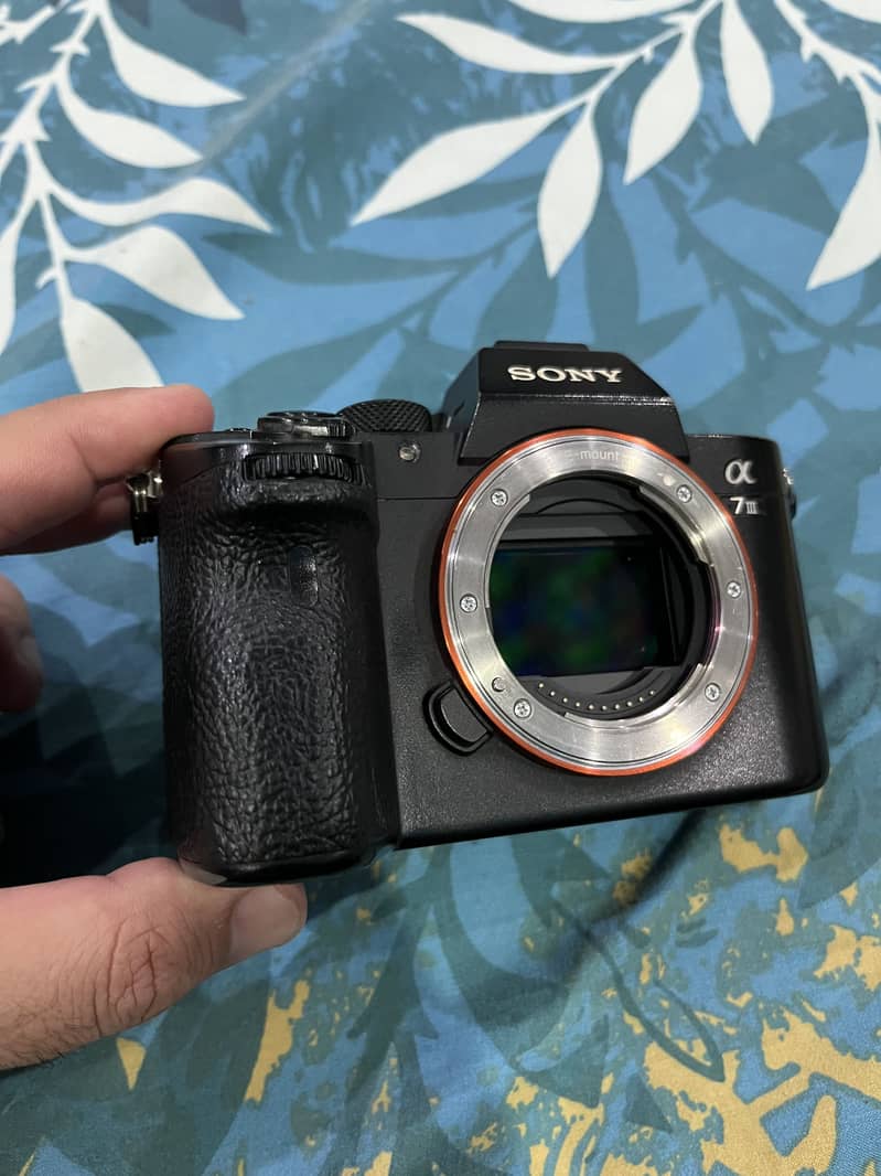 Sony A73 2