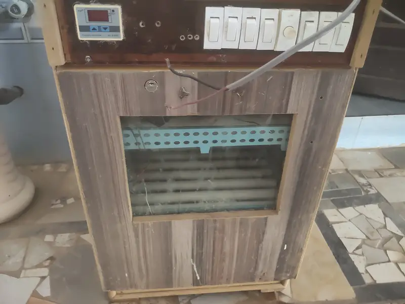 Incubator Egg's Hatch Automatic — photo 2