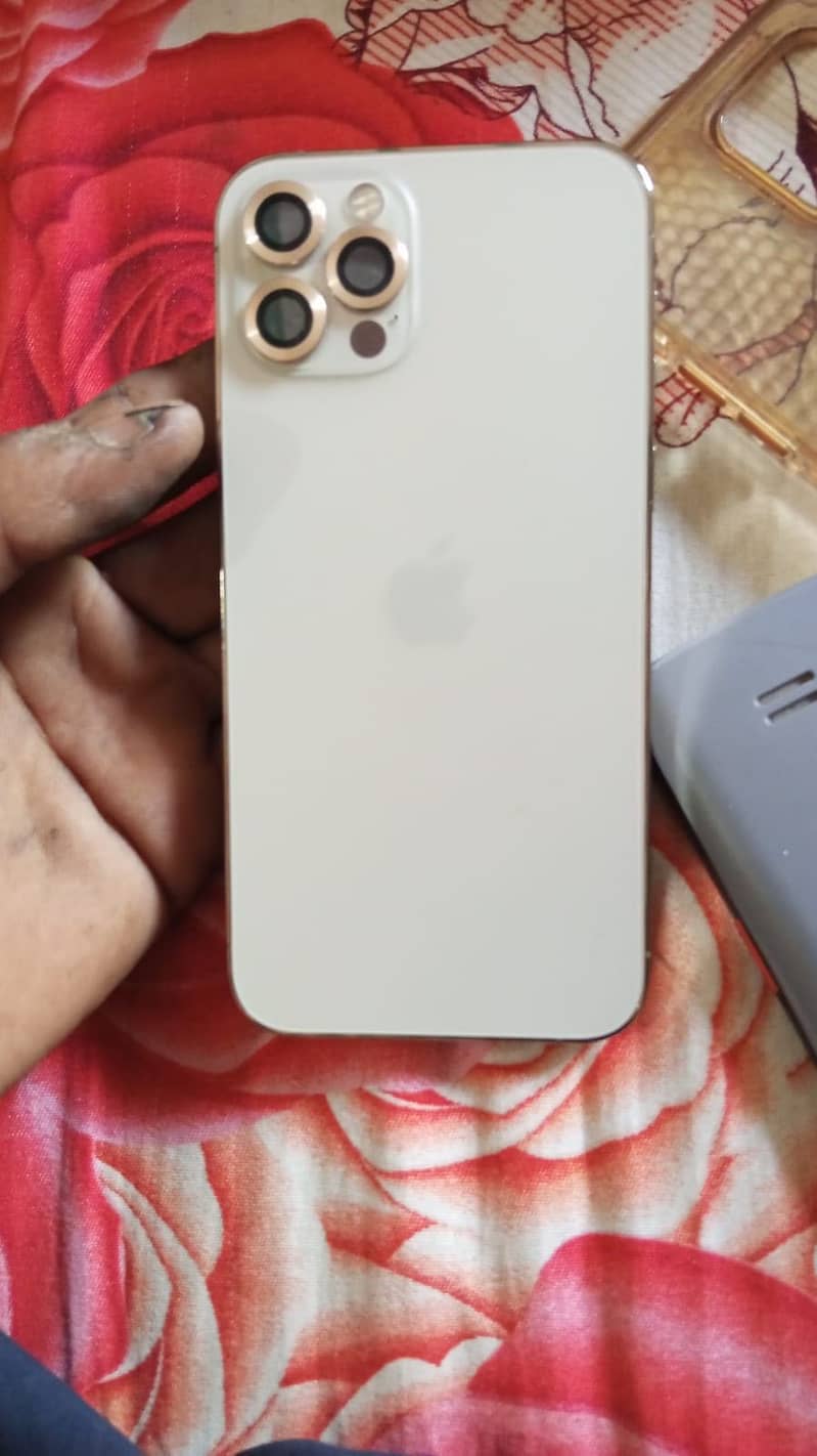 Apple iPhone 12 1