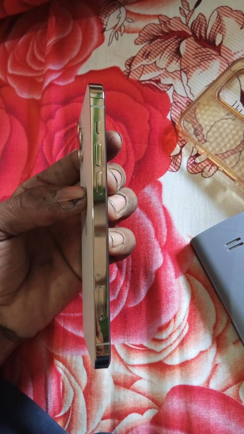 Apple iPhone 12 5
