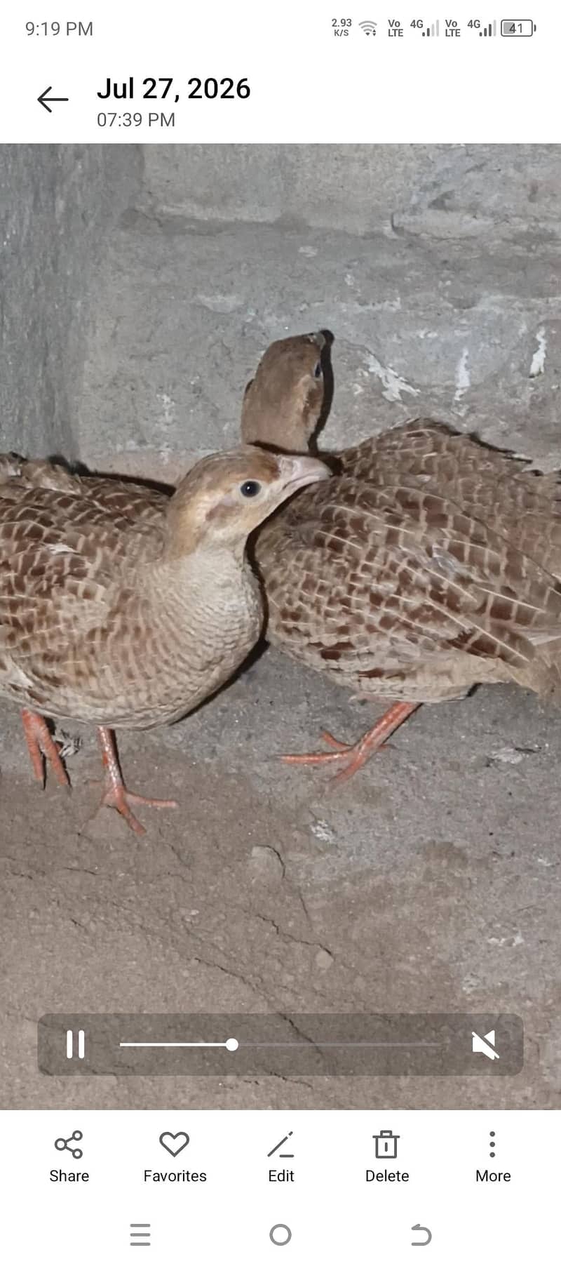 Irani pair 0