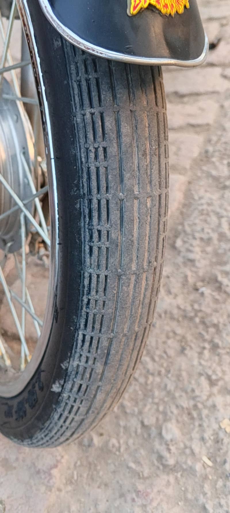 cd70 se badal b lunga 11