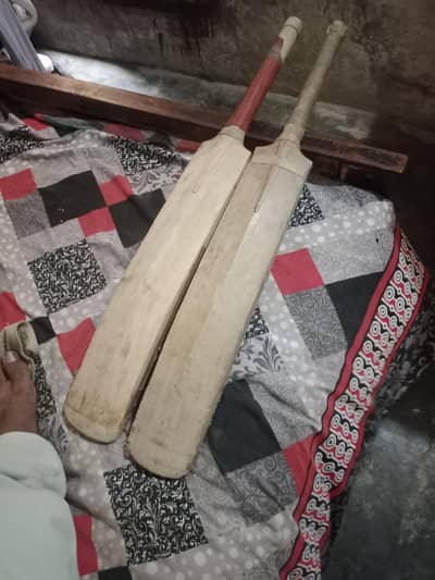 bats for sale