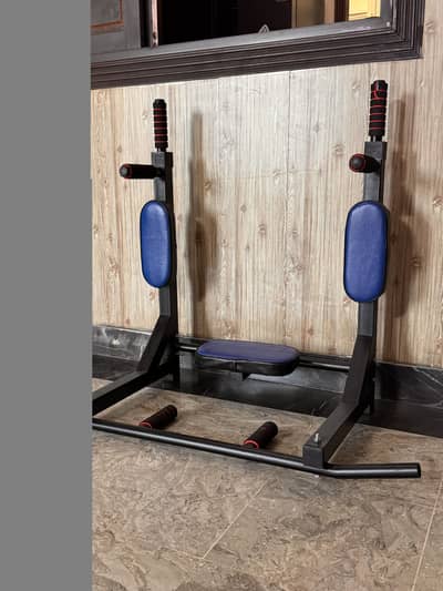 Wall mounted pull up bar and dip station