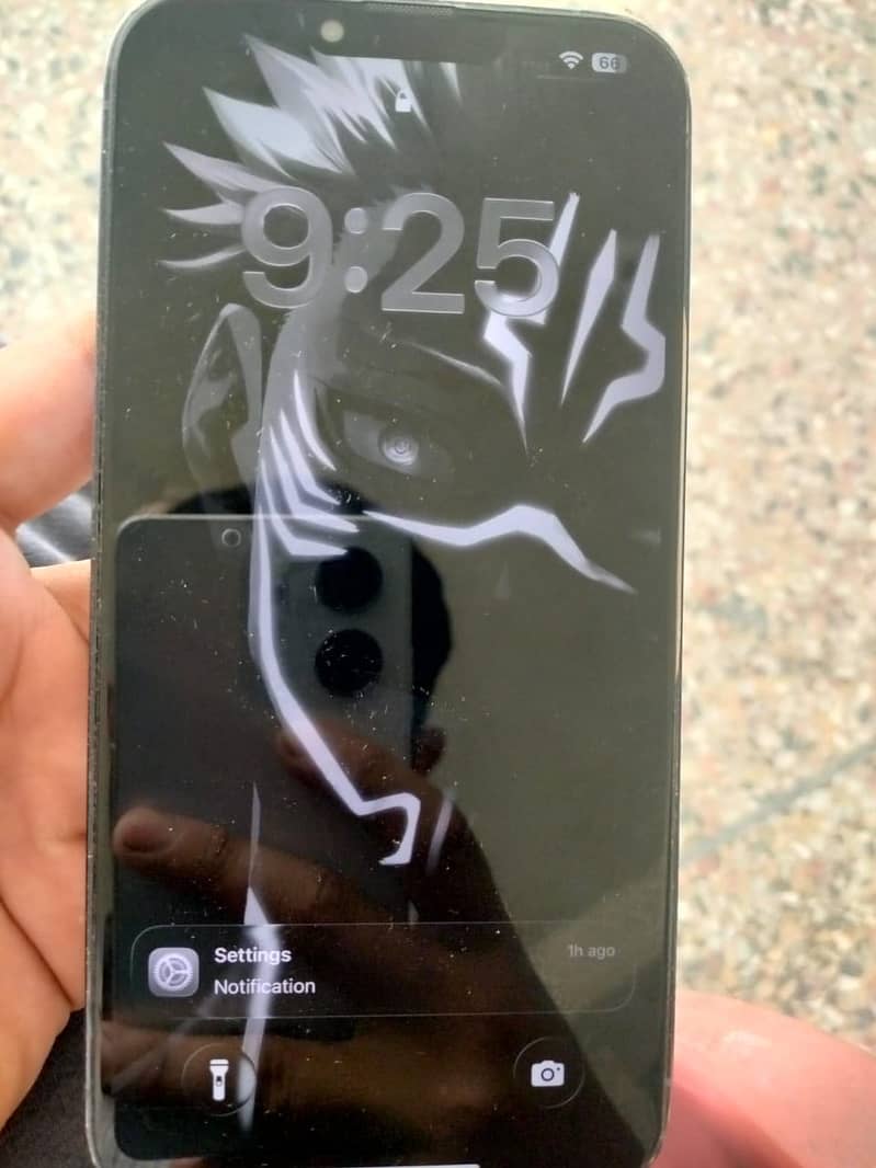 iPhone 13 Pro Max jv 2