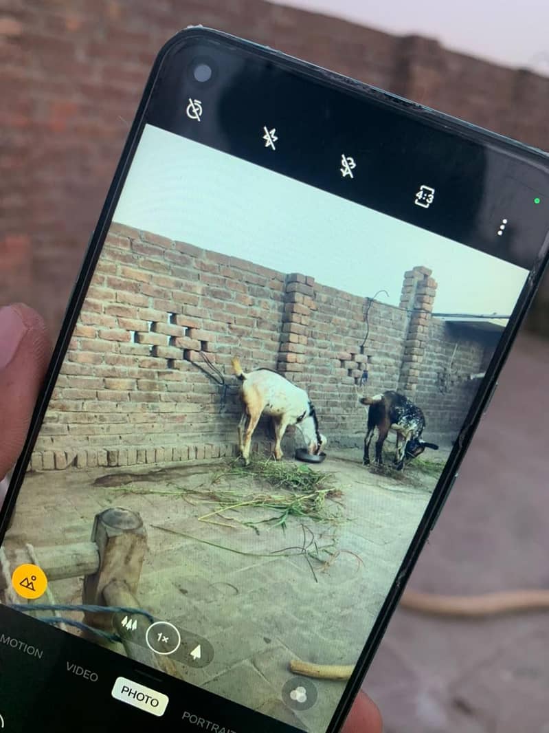 One Plus 8T 10