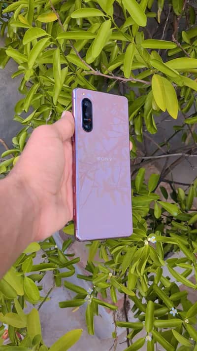 Sony Xperia 5  Whatsapp contact 03176349727