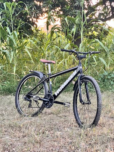 Bicycle | mountain bike