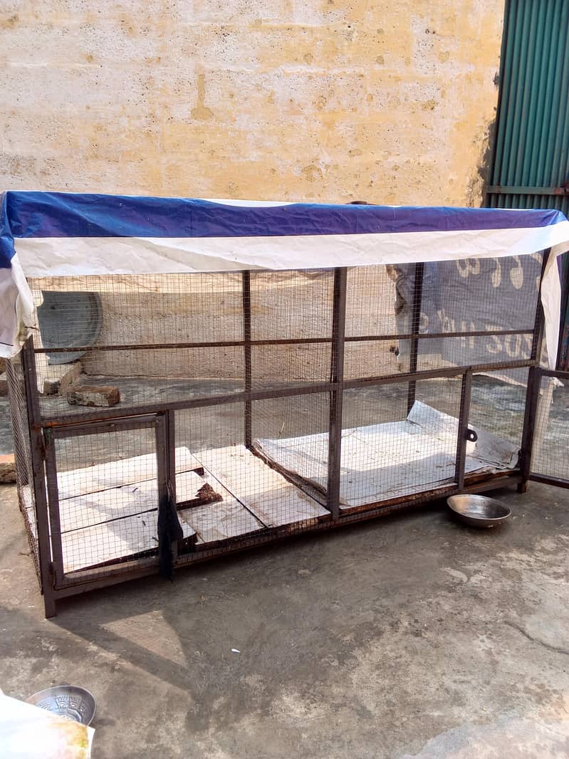 Used cage 3