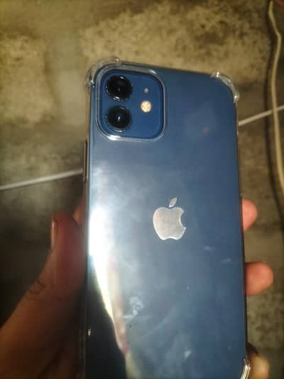 Apple iPhone 12