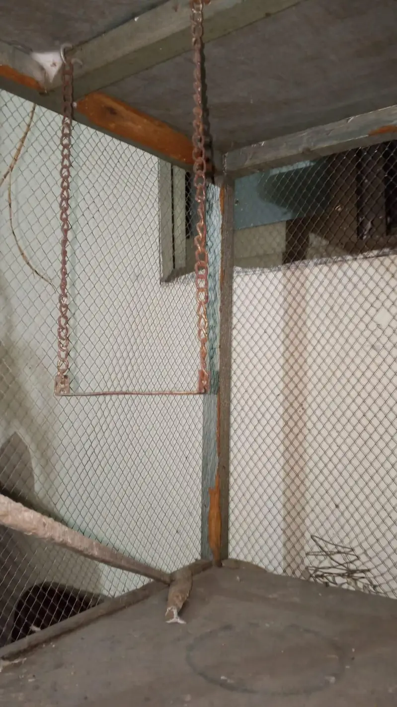 The cage is made of wood — photo 4