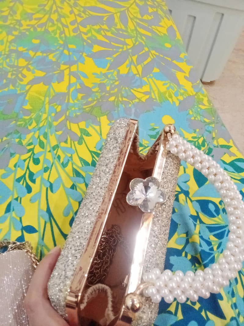 fancy clutch 1