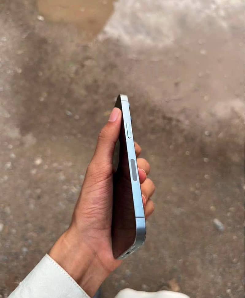 Apple  1