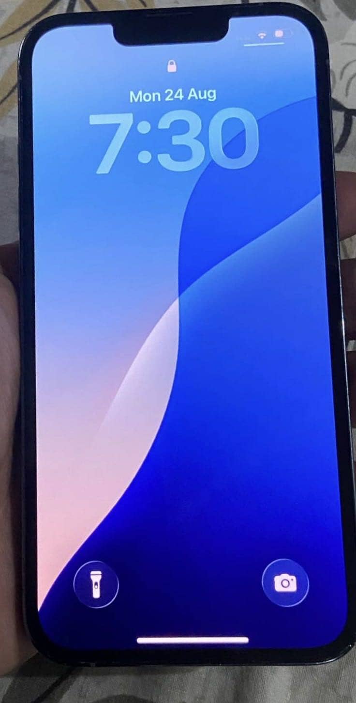 Apple  3