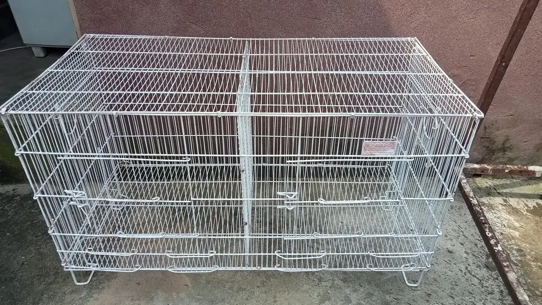 beautiful parrot cage