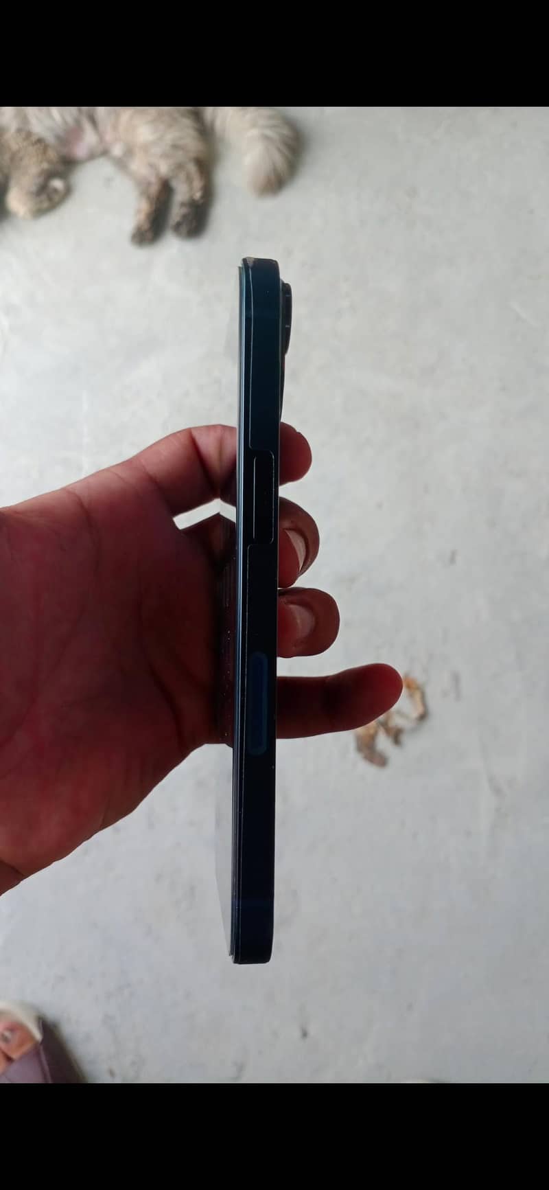 Apple iPhone 13 2