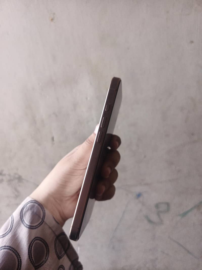 Apple iPhone 16 Pro Max 2