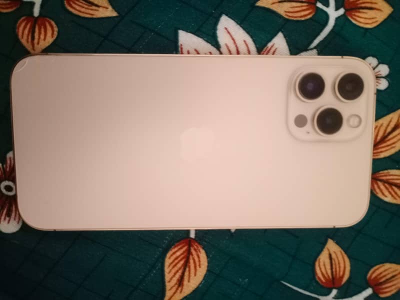 Apple iPhone 12 Pro Max 1