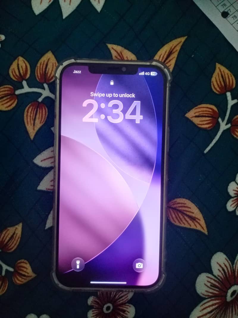 Apple iPhone 12 Pro Max 2