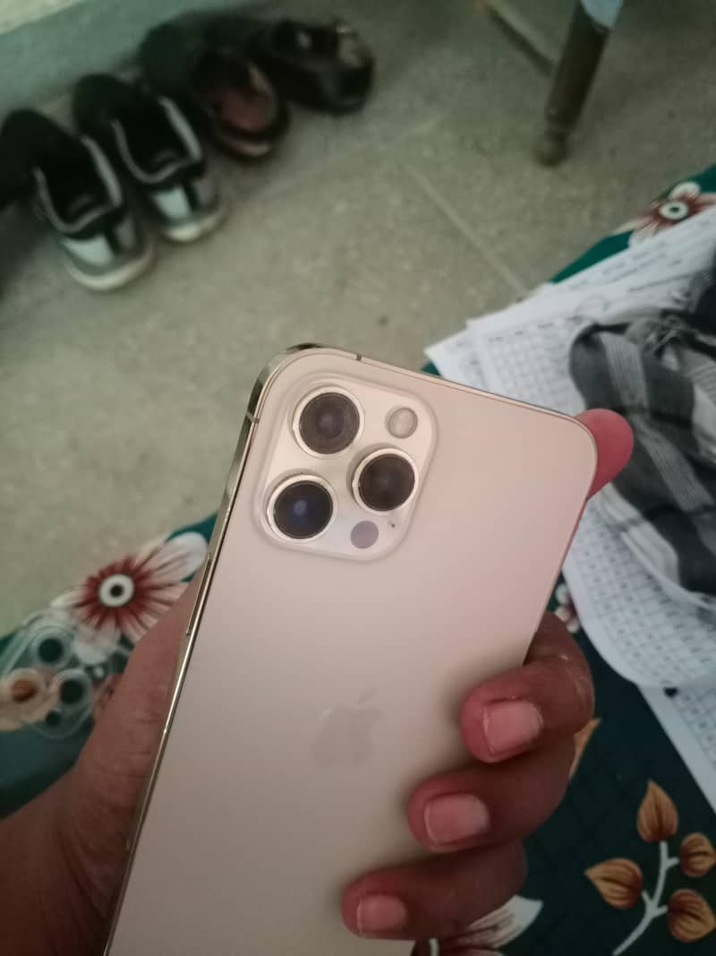 Apple iPhone 12 Pro Max 5