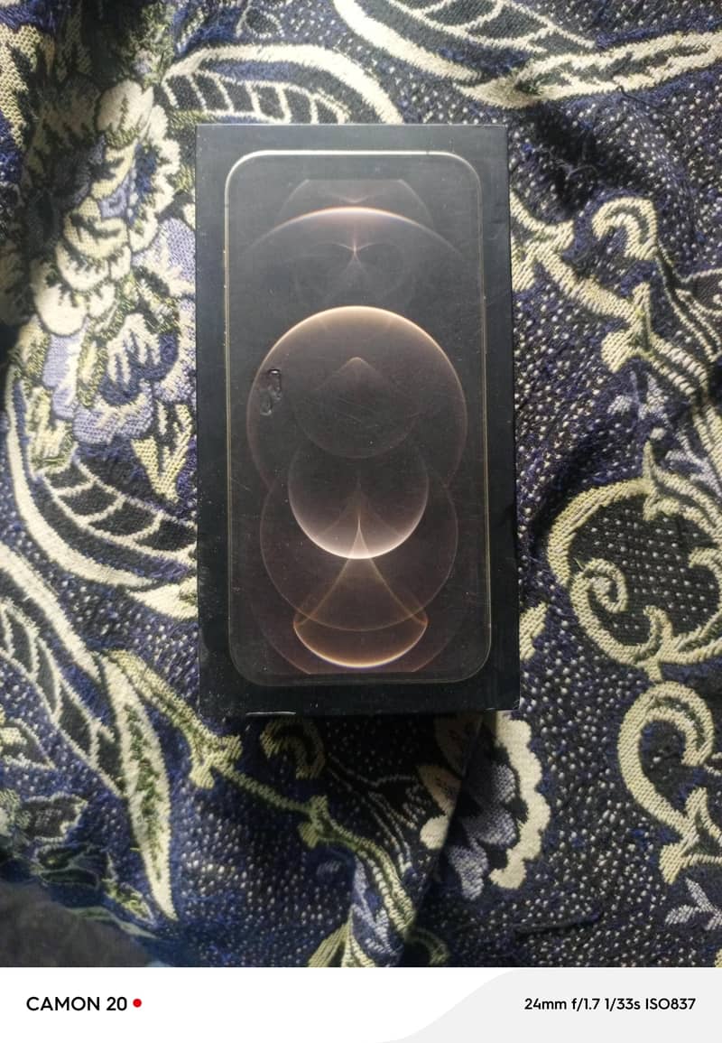 Apple iPhone 12 Pro Max 11