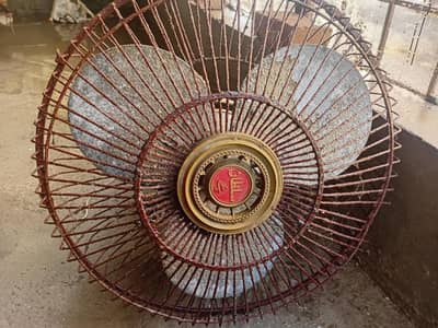 fast fan sultan