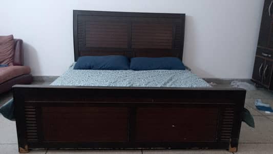 Bed Available