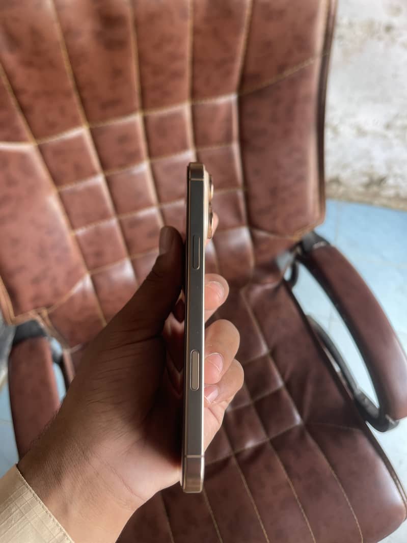 Apple iPhone 16 Pro Max 3
