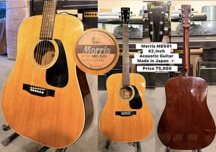 Morris MD-501 Acoustic Guitar 42,Inch / Piano/Keyboard/Benjo/Amp/Bass