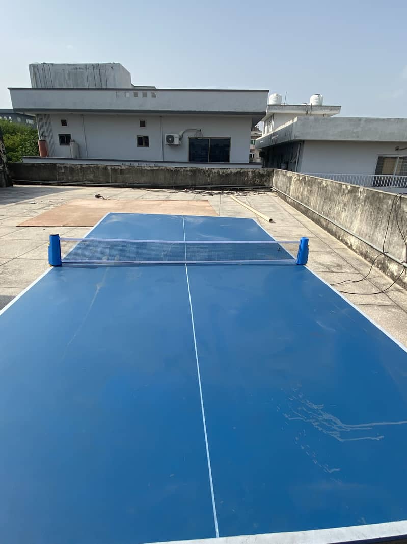 Table Tennis 3