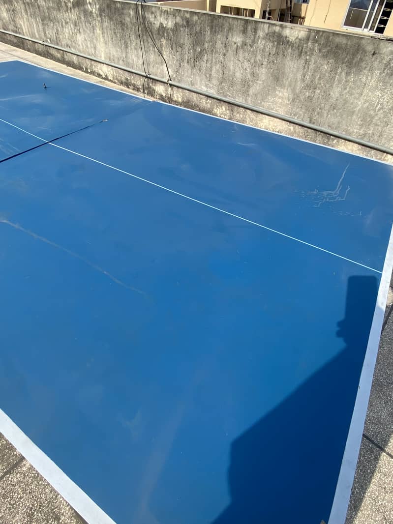 Table Tennis 8