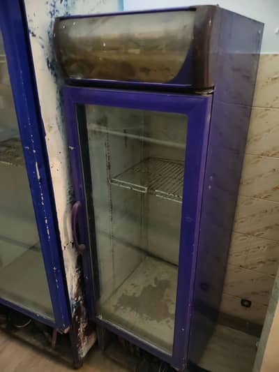 Compact Single-Door Glass Display / Refrigerator / For Sale