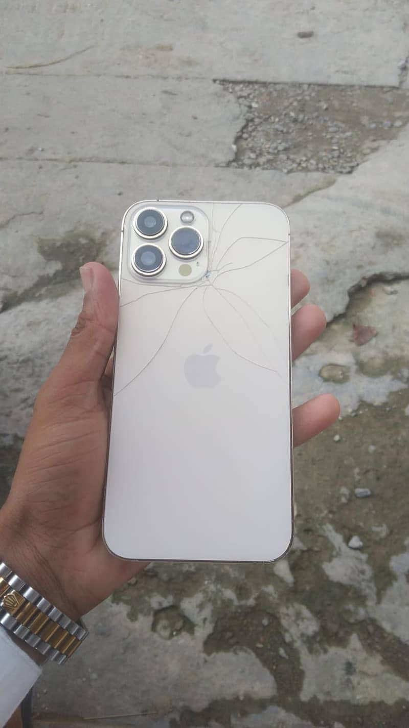Apple iPhone 13 Pro Max 1
