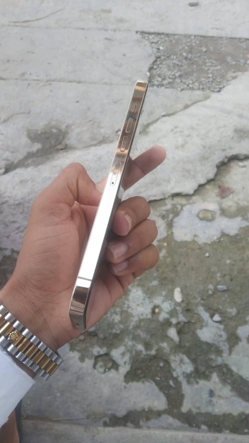 Apple iPhone 13 Pro Max 6