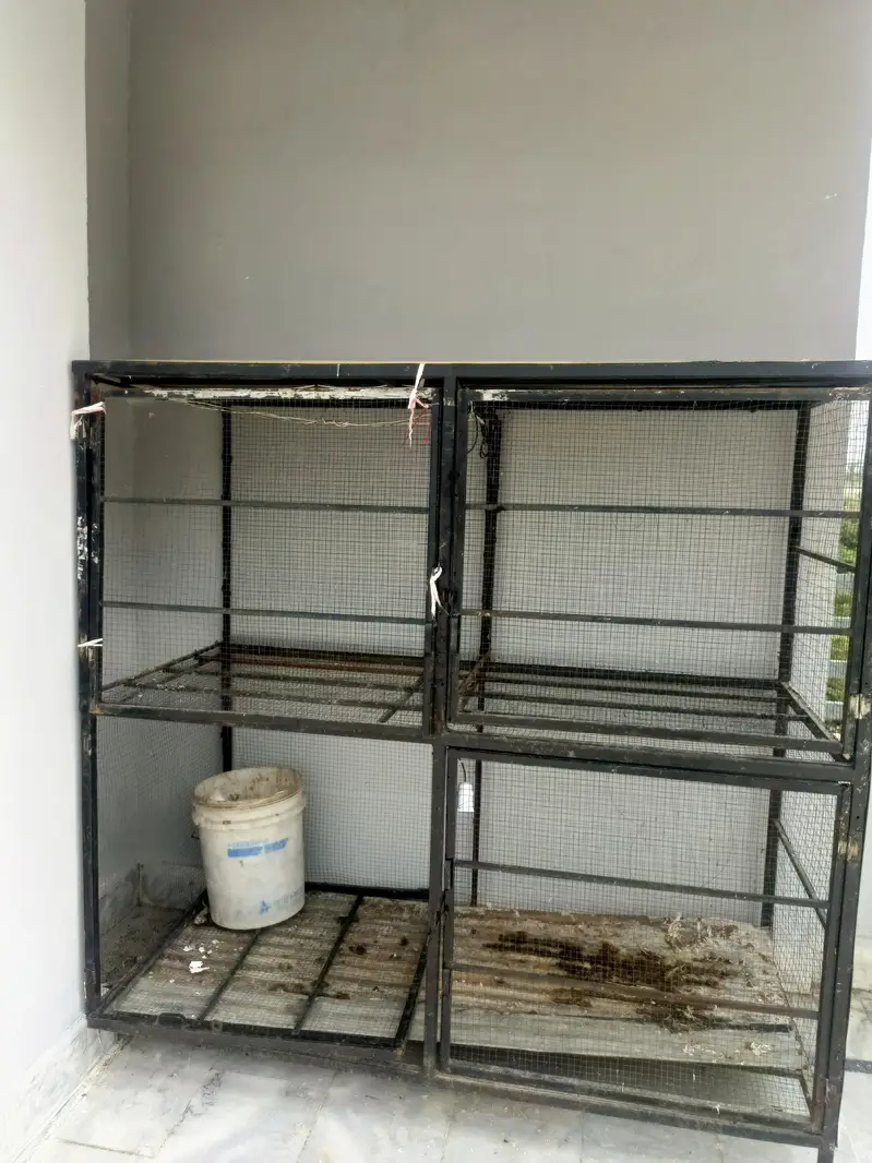 Hen cage  Birds Cage  Big Cage — photo 2
