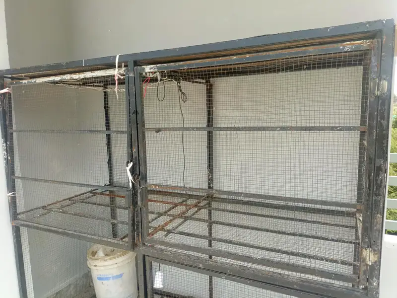 Hen cage  Birds Cage  Big Cage — photo 4