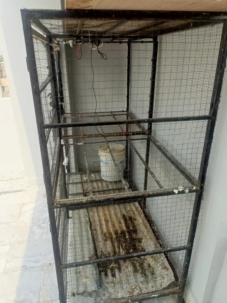 Hen cage  Birds Cage  Big Cage — photo 6