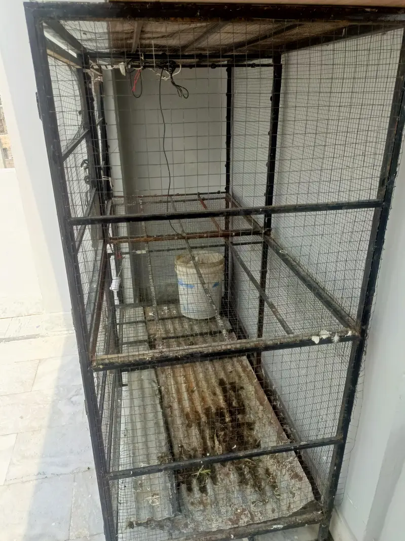 Hen cage  Birds Cage  Big Cage — photo 7
