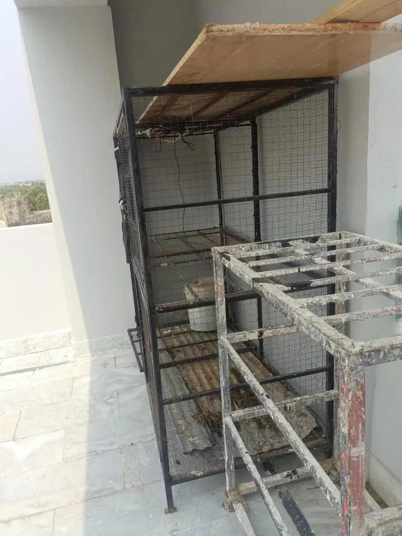 Hen cage  Birds Cage  Big Cage — photo 8