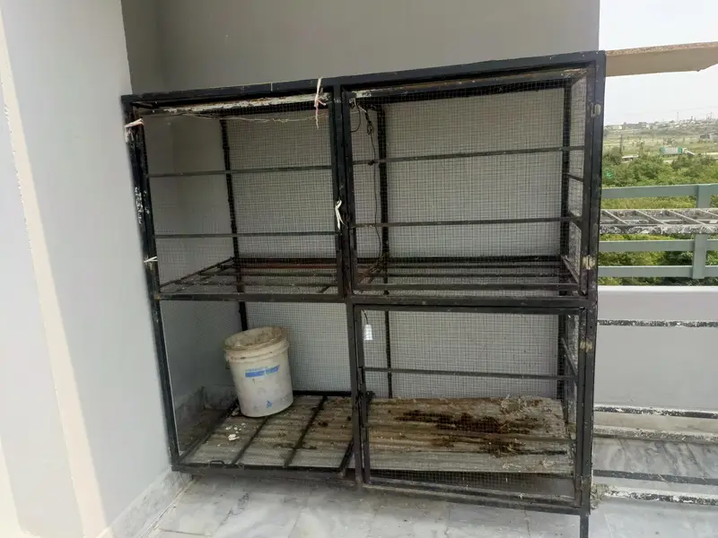 Hen cage  Birds Cage  Big Cage — photo 9