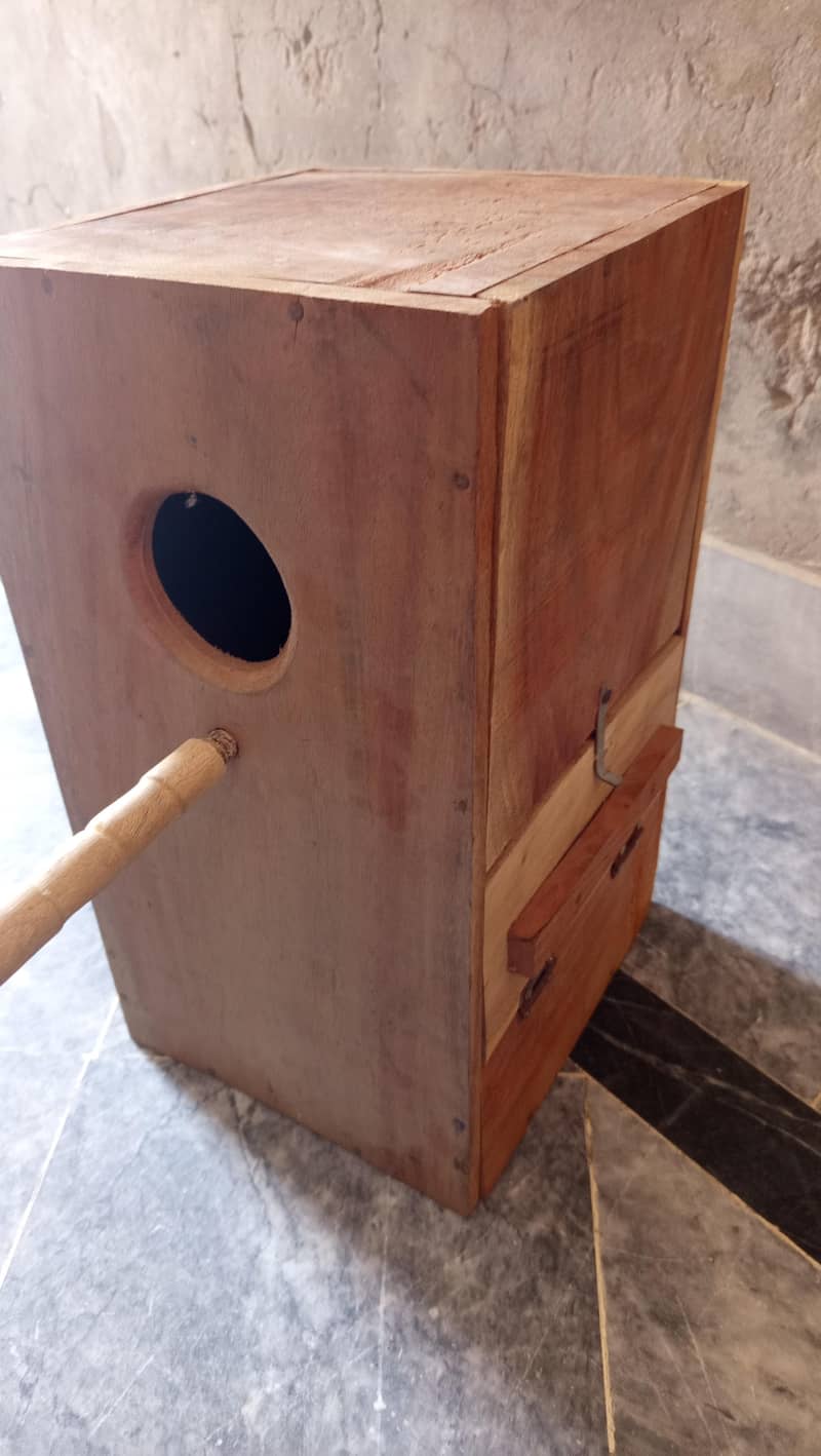 Green Ringneck breading box 1