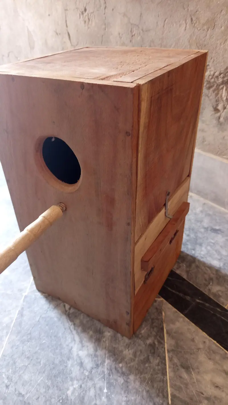 Green Ringneck breading box — photo 2